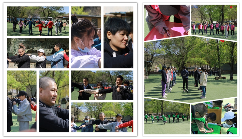 1619593429889466.jpg d3.jpg