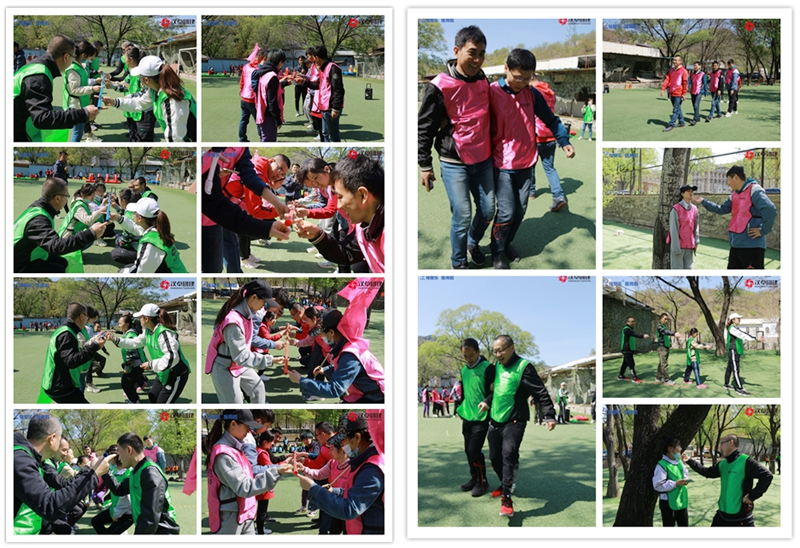 1619593515682484.jpg d4.jpg