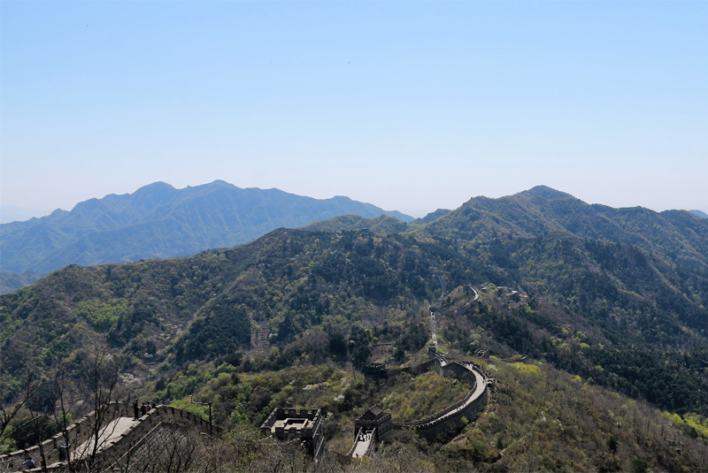 1619593760796303.jpg d6.jpg