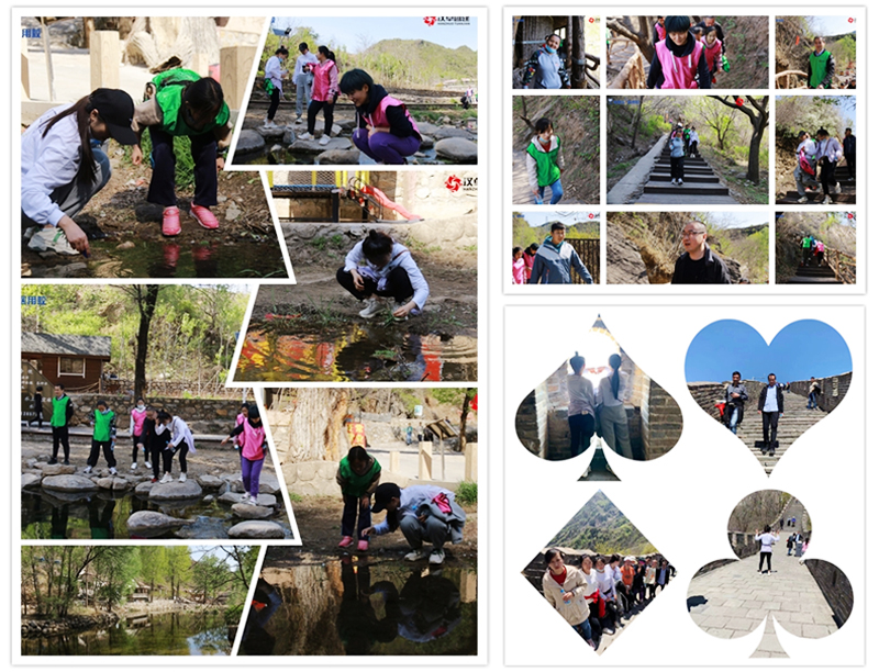 1619594022618753.jpg d6.jpg